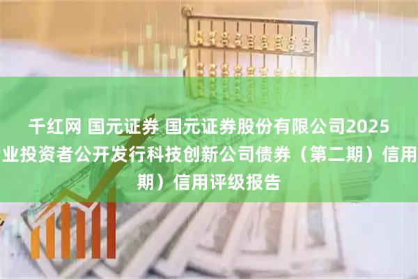 千红网 国元证券 国元证券股份有限公司2025年面向专业投资者公开发行科技创新公司债券（第二期）信用评级报告