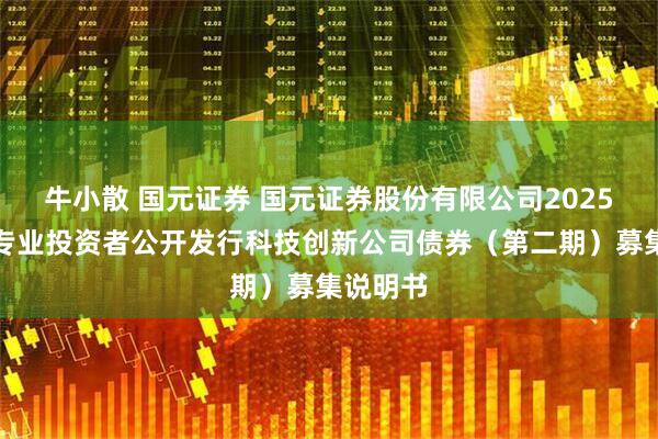 牛小散 国元证券 国元证券股份有限公司2025年面向专业投资者公开发行科技创新公司债券（第二期）募集说明书