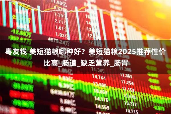 粤友钱 美短猫粮哪种好？美短猫粮2025推荐性价比高_肠道_缺乏营养_肠胃